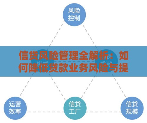 信贷风险管理全解析：如何降低贷款业务风险与提升收益