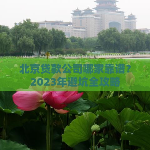 北京贷款公司哪家靠谱？2023年避坑全攻略