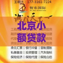 北京小额贷款投资管理有限公司：专业贷款服务与申请指南