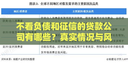 不看负债和征信的贷款公司有哪些？真实情况与风险解析