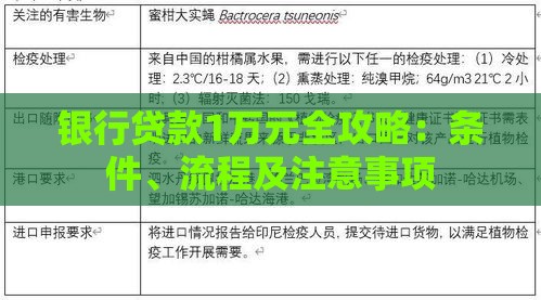 银行贷款1万元全攻略：条件、流程及注意事项