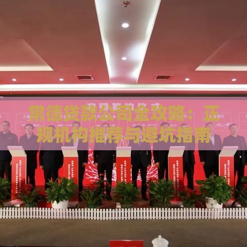 常德贷款公司全攻略：正规机构推荐与避坑指南