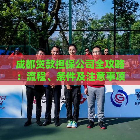 成都贷款担保公司全攻略：流程、条件及注意事项