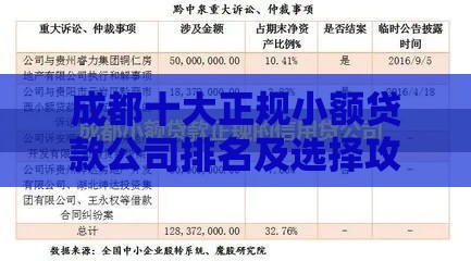 成都十大正规小额贷款公司排名及选择攻略