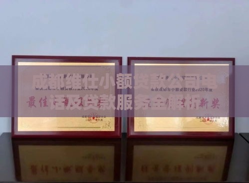 成都维仕小额贷款公司电话及贷款服务全解析