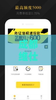 成都维仕小额贷款公司电话及贷款服务全解析