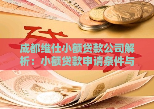 成都维仕小额贷款公司解析：小额贷款申请条件与产品优势