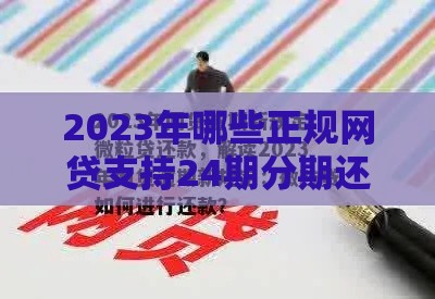 2023年哪些正规网贷支持24期分期还款？推荐这5家