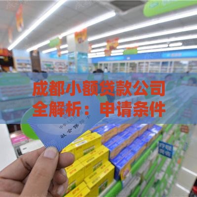成都小额贷款公司全解析：申请条件、流程及注意事项