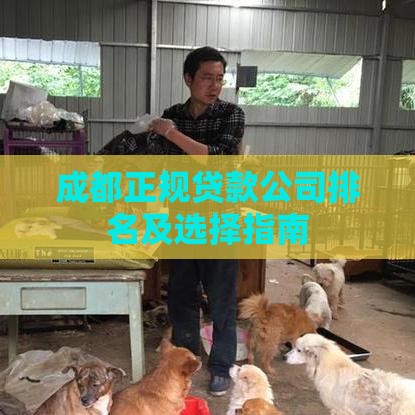 成都正规贷款公司排名及选择指南