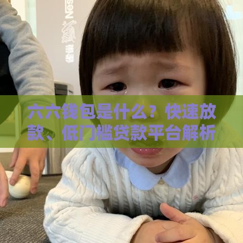 六六钱包是什么？快速放款、低门槛贷款平台解析