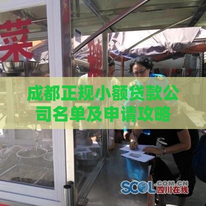 成都正规小额贷款公司名单及申请攻略