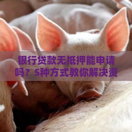 银行贷款无抵押能申请吗？5种方式教你解决资金需求