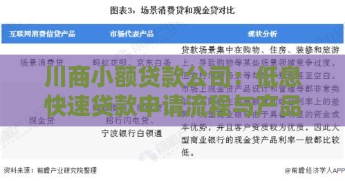 川商小额贷款公司：低息快速贷款申请流程与产品优势解析