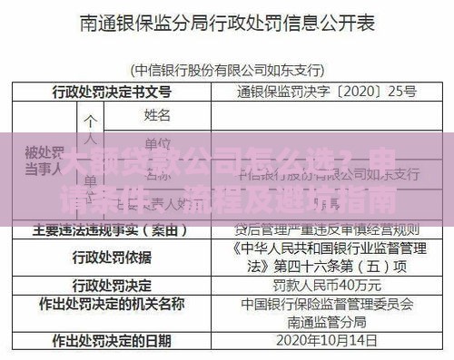 大额贷款公司怎么选？申请条件、流程及避坑指南全解析
