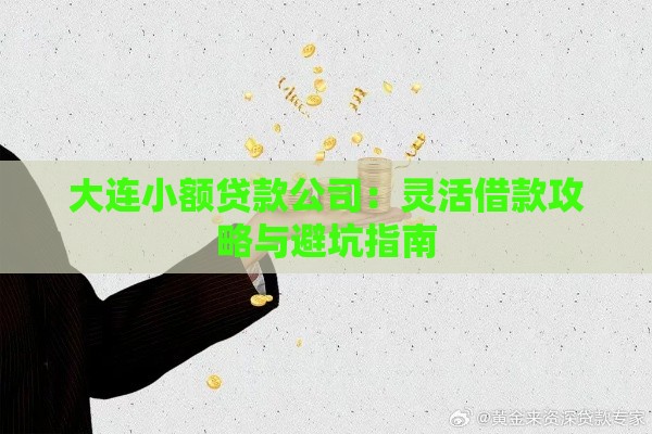 大连小额贷款公司：灵活借款攻略与避坑指南