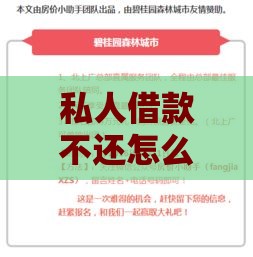 私人借款不还怎么办？起诉流程与法律维权指南