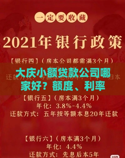大庆小额贷款公司哪家好？额度、利率、流程全解析