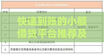 快速到账的小额借贷平台推荐及申请指南