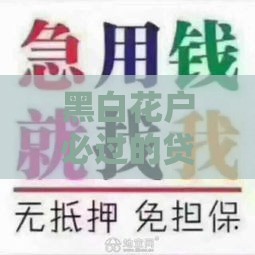 黑白花户必过的贷款平台推荐  真实下款案例解析