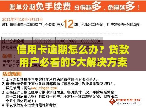 信用卡逾期怎么办?贷款用户必看的5大解决方案 信用卡逾期怎么办?贷款用户必看的5大解决方案
