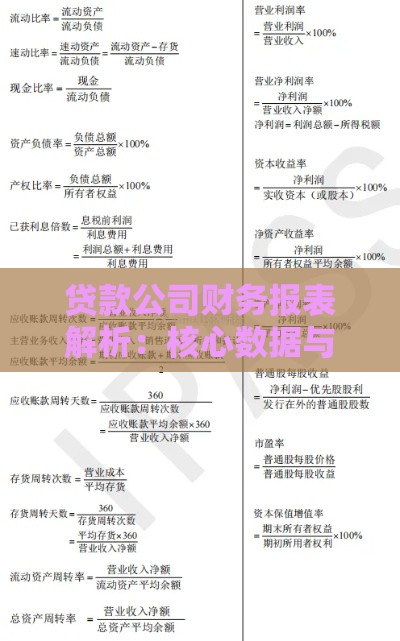 贷款公司财务报表解析：核心数据与风险指标详解