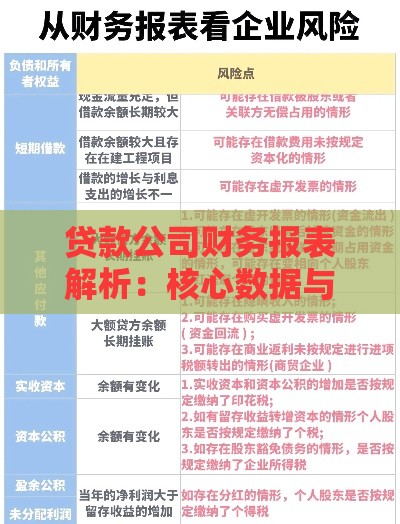 贷款公司财务报表解析：核心数据与风险指标详解