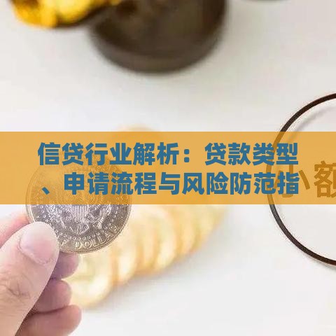 信贷行业解析：贷款类型、申请流程与风险防范指南