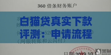白猫贷真实下款评测：申请流程、资质要求及注意事项解析