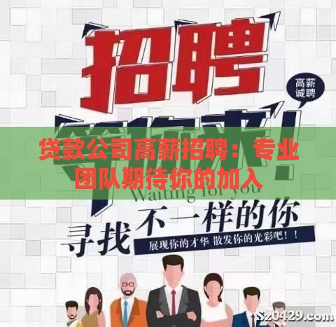 贷款公司高薪招聘：专业团队期待你的加入