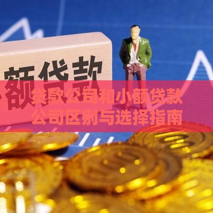 贷款公司和小额贷款公司区别与选择指南
