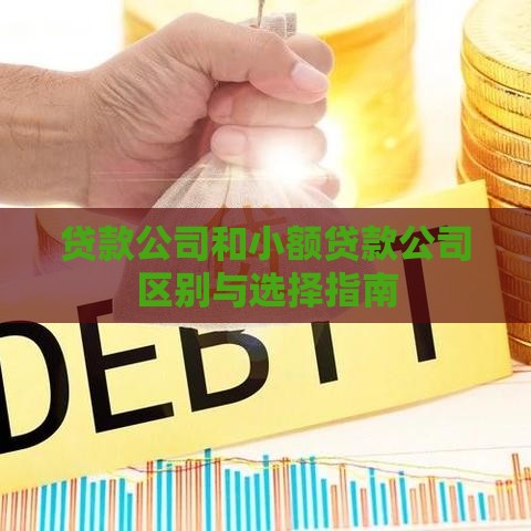 贷款公司和小额贷款公司区别与选择指南
