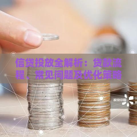 信贷投放全解析：贷款流程、常见问题及优化策略