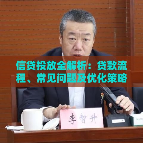 信贷投放全解析：贷款流程、常见问题及优化策略