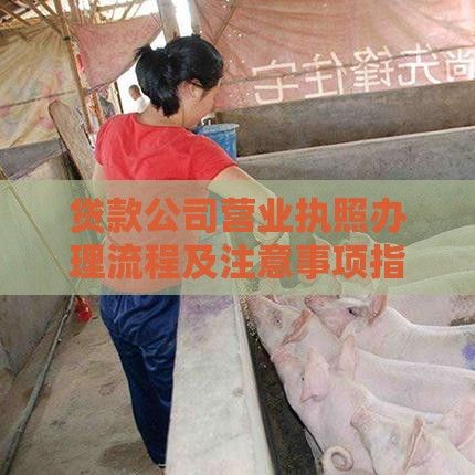 贷款公司营业执照办理流程及注意事项指南