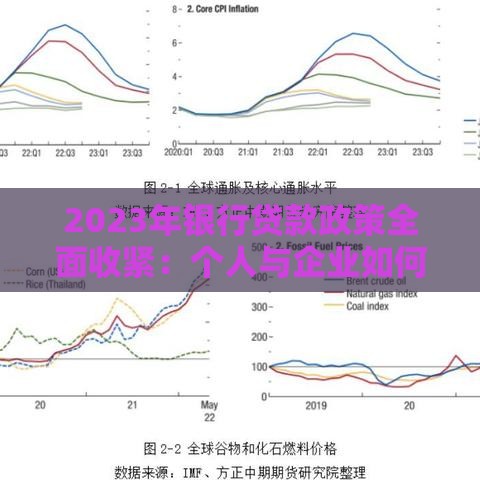 2023年银行贷款政策全面收紧：个人与企业如何应对资金压力？