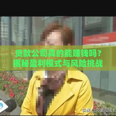 贷款公司真的能赚钱吗？揭秘盈利模式与风险挑战