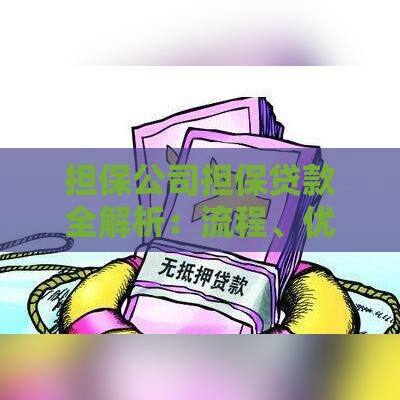 担保公司担保贷款全解析：流程、优势与注意事项