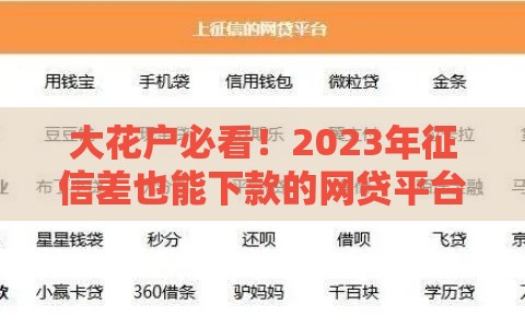 大花户必看！2023年征信差也能下款的网贷平台推荐