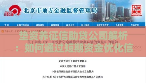 垫资养征信助贷公司解析：如何通过短期资金优化信用贷款资质？