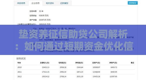 垫资养征信助贷公司解析：如何通过短期资金优化信用贷款资质？