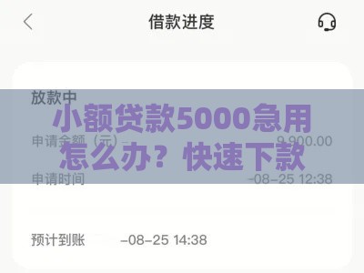 小额贷款5000急用怎么办？快速下款攻略与注意事项