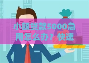 小额贷款5000急用怎么办？快速下款攻略与注意事项