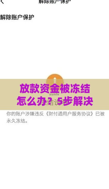 放款资金被冻结怎么办？5步解决+预防指南