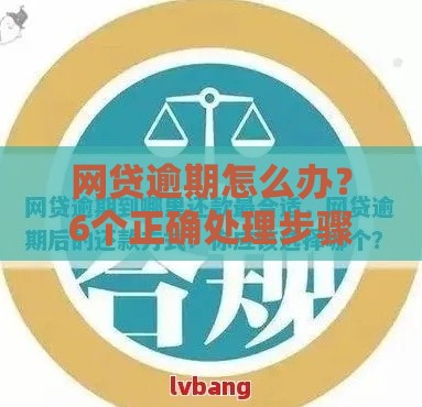 网贷逾期怎么办？6个正确处理步骤和避坑指南