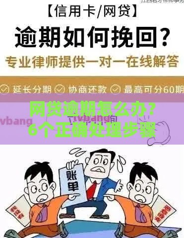 网贷逾期怎么办？6个正确处理步骤和避坑指南