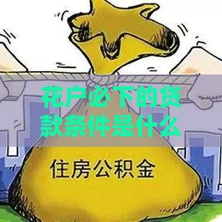 花户必下的贷款条件是什么？征信花户贷款攻略详解