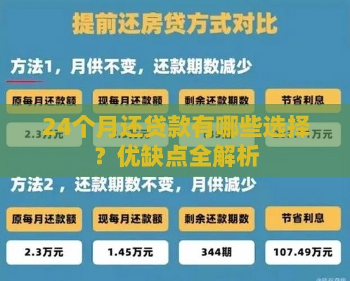 24个月还贷款有哪些选择？优缺点全解析