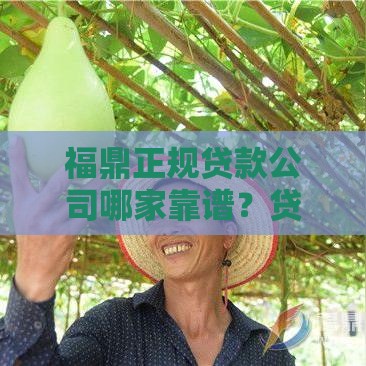 福鼎正规贷款公司哪家靠谱？贷款流程、利率、避坑指南