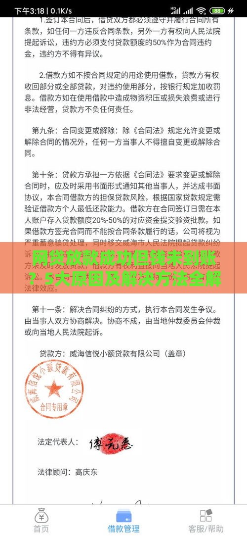 网贷放款成功但钱未到账？5大原因及解决方法全解析